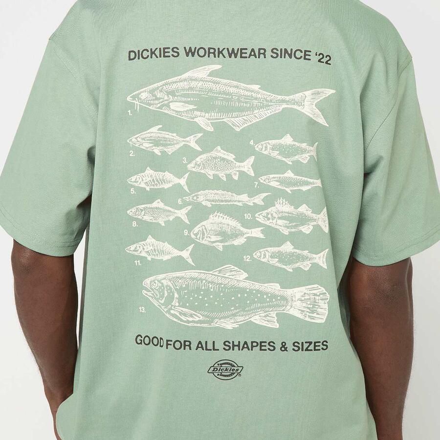 Dickies Laryville Shortsleeve Tee Men T-Shirts & Polo's groen Maat XL Kleding - Foto 2