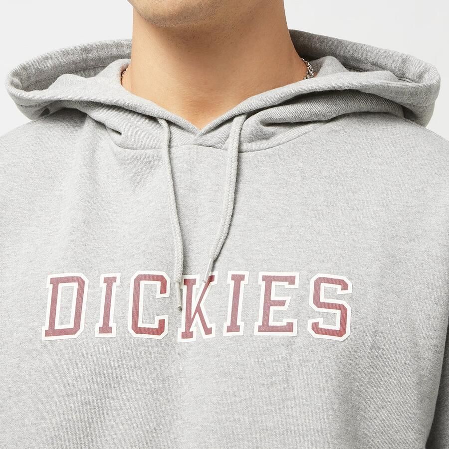Dickies Melvern Hoodie Men Hoodies & Sweaters grijs Maat S Kleding - Foto 2