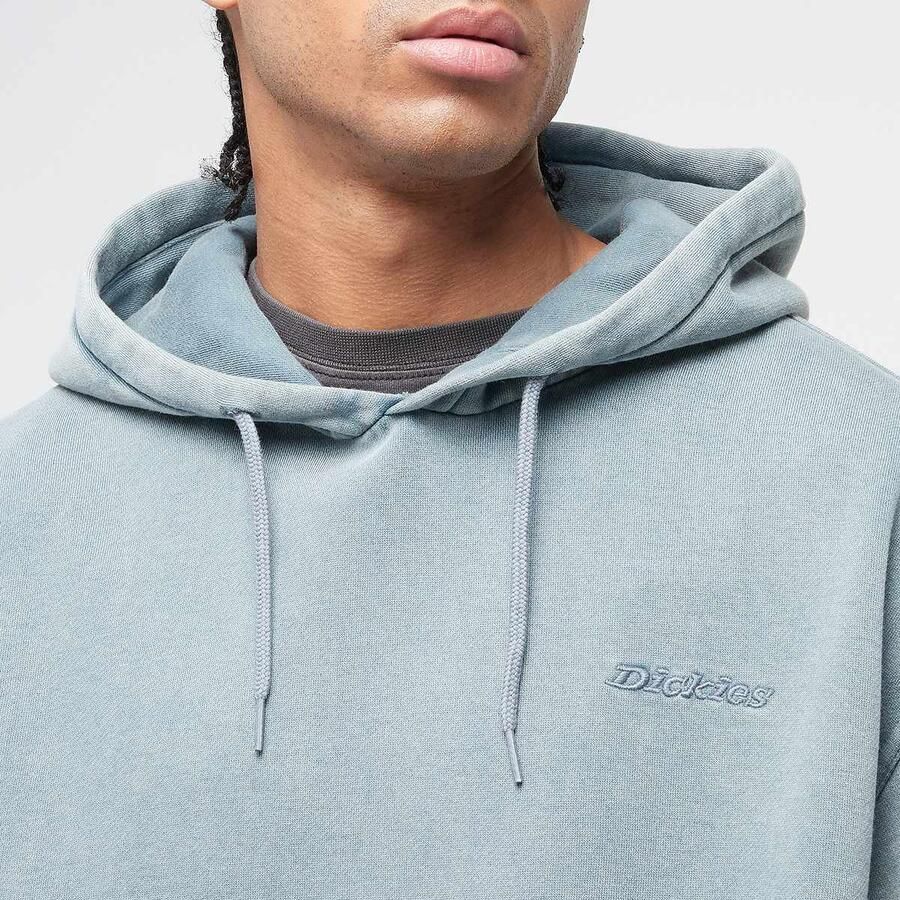 Dickies Plentywood Hoodie Men Hoodies & Sweaters blauw Maat XL Kleding - Foto 2