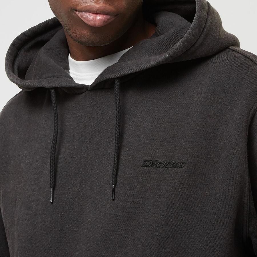 Dickies Plentywood Hoodie men Hoodies & Sweaters zwart Maat XL Kleding - Foto 2