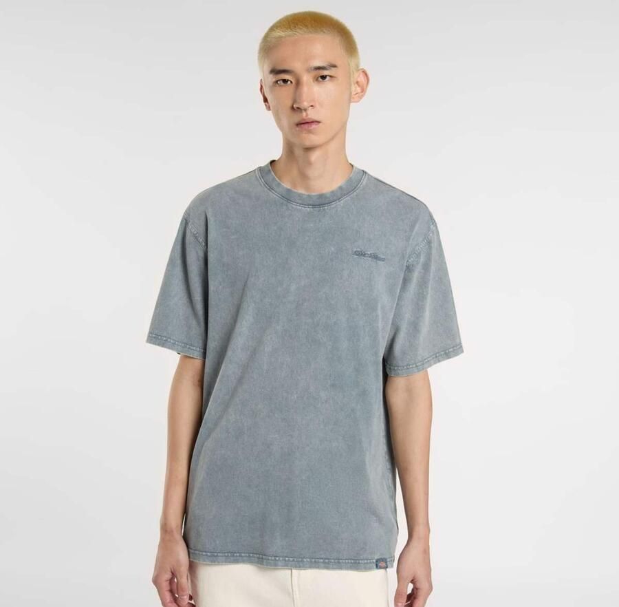 Dickies Plentywood Tee Men T-Shirts & Polo's blauw Maat XL Kleding - Foto 3