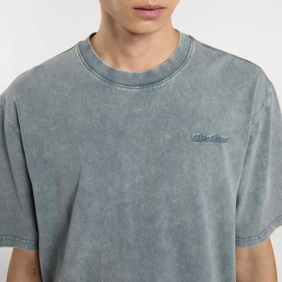 Dickies Plentywood Tee Men T-Shirts & Polo's blauw Maat XL Kleding