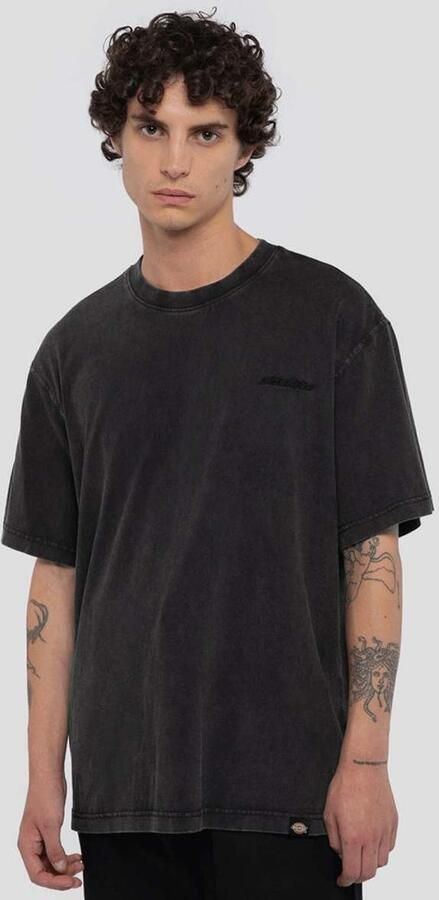 Dickies Plentywood Tee Short Sleeve Men T-Shirts & Polo's grijs Maat XL Kleding - Foto 3