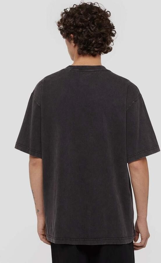 Dickies Plentywood Tee Short Sleeve Men T-Shirts & Polo's grijs Maat XL Kleding - Foto 2