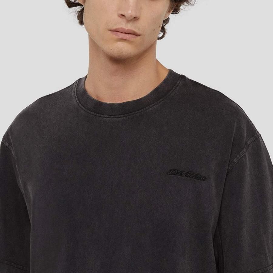 Dickies Plentywood Tee Short Sleeve Men T-Shirts & Polo's grijs Maat XL Kleding