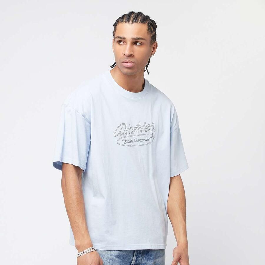 Dickies Rope Tee men T-Shirts & Polo's blauw Maat XL Kleding - Foto 3