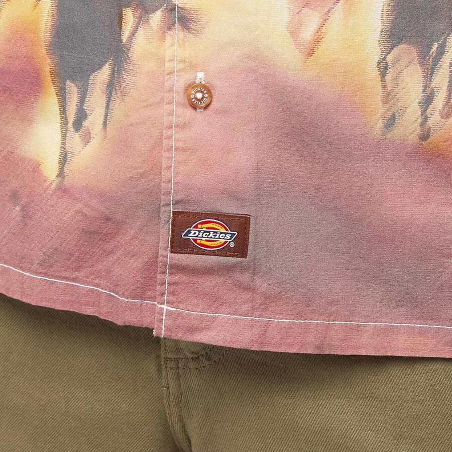 Dickies Running Wild Shortsleeve Shirt Men Overhemden multicolor Maat XL Kleding - Foto 2