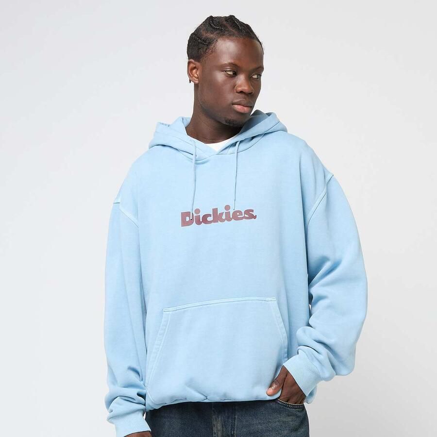 Dickies Slayden GD Hoodie Men Hoodies & Sweaters blauw Maat XL Kleding - Foto 3