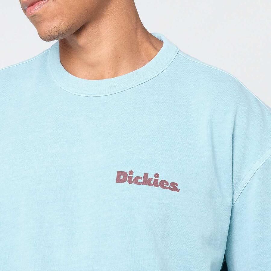 Dickies Slayden GD Shortsleeve Tee Men T-Shirts & Polo's blauw Maat XL Kleding - Foto 2