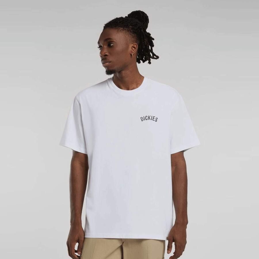 Dickies Snake Short Sleeve Tee Men T-Shirts & Polo's wit Maat XL Kleding