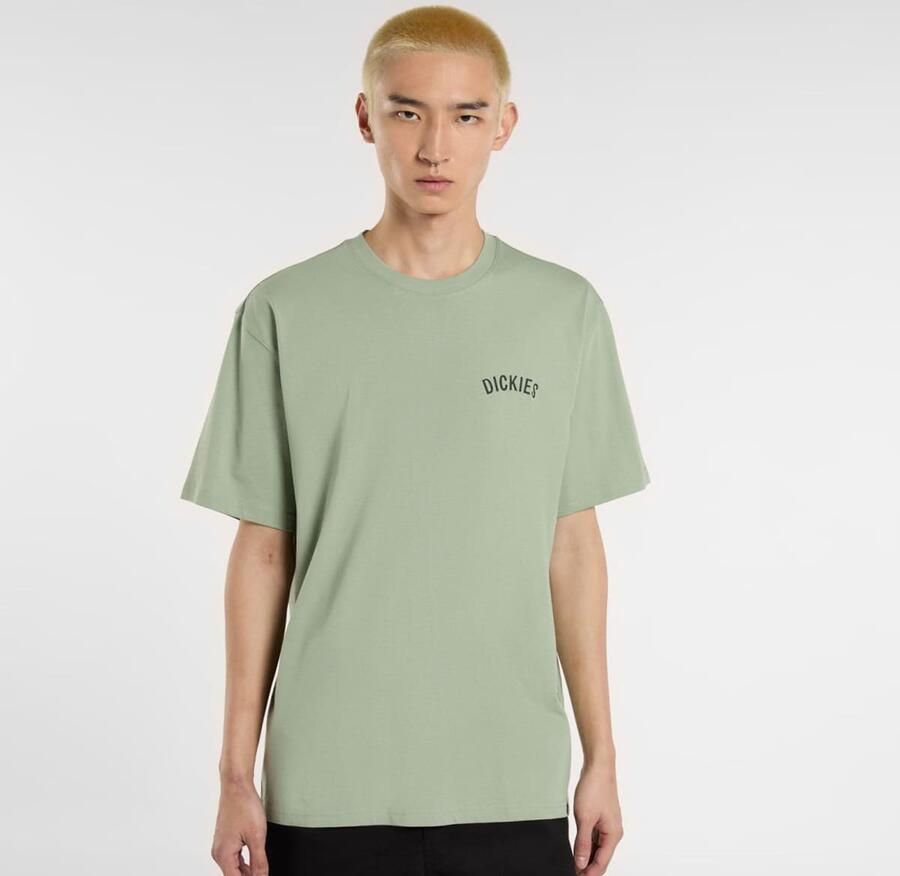 Dickies Snake Tee Men T-Shirts & Polo's groen Maat XL Kleding - Foto 2