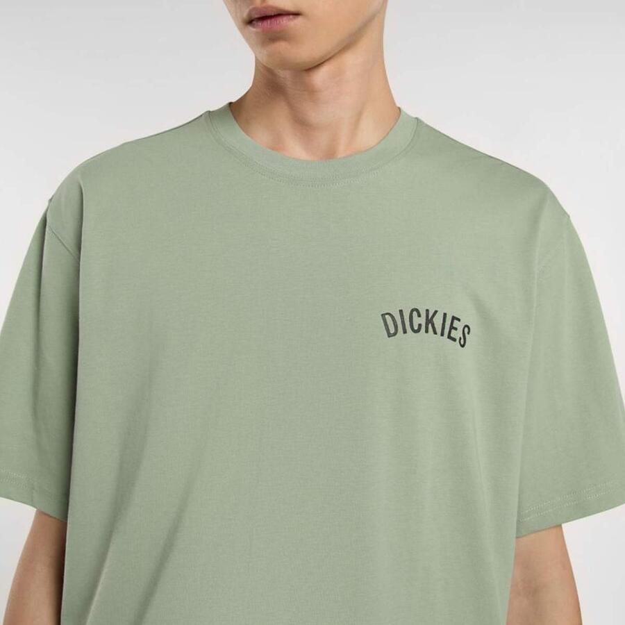 Dickies Snake Tee Men T-Shirts & Polo's groen Maat XL Kleding