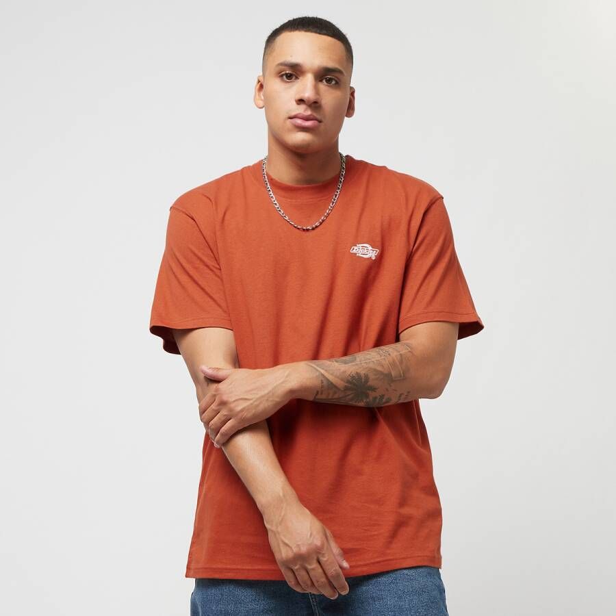 Dickies Summerdale Tee Ss T-shirts Kleding bombay brown maat: XL beschikbare maaten:S M XL