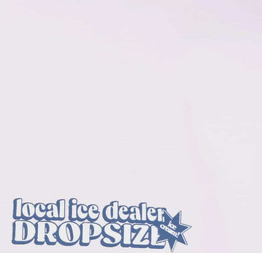 DropSize Heavy Oversize Ice Cream T-Shirt Men T-Shirts & Polo's wit Maat XL Kleding