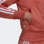 Adidas Originals Adicolor Firebird Trainingsjacke Trainingsjassen Kleding braun maat: XS beschikbare maaten:XS - Thumbnail 6
