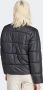 Adidas Originals Adicolor Puffer Winter Jas Pufferjassen Kleding black maat: L beschikbare maaten:XS S L - Thumbnail 2
