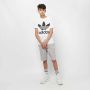 Adidas Originals Adicolor Trefoil T-shirt T-shirts Kleding white black maat: 152 beschikbare maaten:140 152 176 - Thumbnail 14