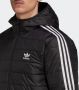 Adidas Originals Puffer-jacke Mit Kapuze Pufferjassen Kleding black maat: L beschikbare maaten:S L - Thumbnail 5