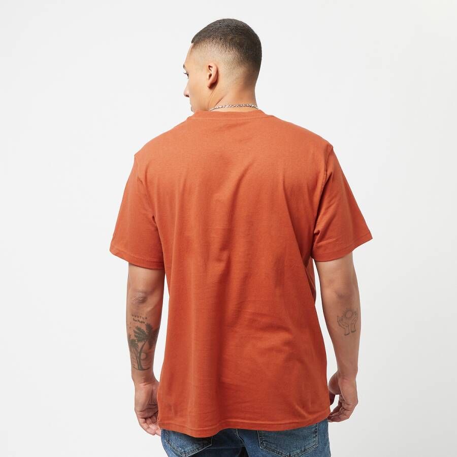 Dickies Summerdale Tee Ss T-shirts Kleding bombay brown maat: S beschikbare maaten:S