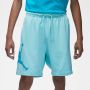 Jordan Essentials Fleece Shorts Sportshorts Kleding bleached aqua maat: XL beschikbare maaten:S M L XL - Thumbnail 6