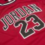 Jordan Junior 23 Jersey's Kleding gym red maat: 137 beschikbare maaten:137 147 158 170 - Thumbnail 2