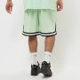 Karl Kani Small Signature Essential Mesh Shorts Sportshorts Kleding light green maat: XL beschikbare maaten:S M L XL - Thumbnail 2