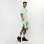 Karl Kani Small Signature Essential Mesh Shorts Sportshorts Kleding light green maat: XL beschikbare maaten:S M L XL - Thumbnail 4