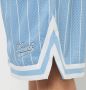 Karl Kani Varsity Pinstripe Mesh Shorts Sportshorts Kleding light blue white maat: L beschikbare maaten:L - Thumbnail 4