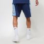 Mitchell & Ness NBA Basketball Shorts Hardwood Classics Multicolor Heren - Thumbnail 3