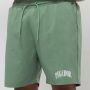 Pegador Grant Swim Shorts Zwembroeken Kleding cypress green maat: XL beschikbare maaten:S M L XL - Thumbnail 3