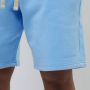 Pegador Logo Heavy Sweat Shorts Sportshorts Kleding vintage washed riviera blue maat: S beschikbare maaten:S M L XL - Thumbnail 3