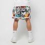 Puma Casual Shorts Meerkleurig Heren - Thumbnail 6