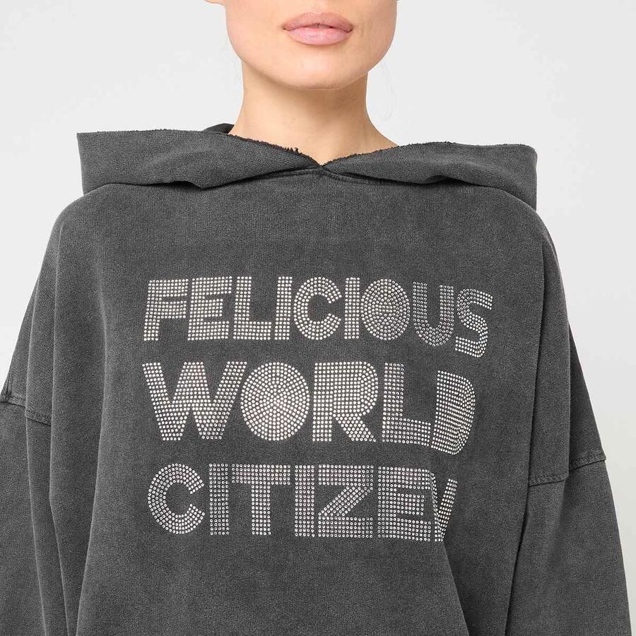 Felicious Vintage Hoodie Rhinestones Wo Hoodies & Sweaters grijs Maat XS Kleding