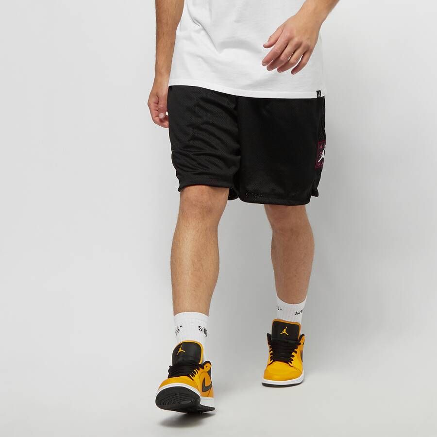 Nike Korte Broek Air Jordan Aj5 Mesh Gfx