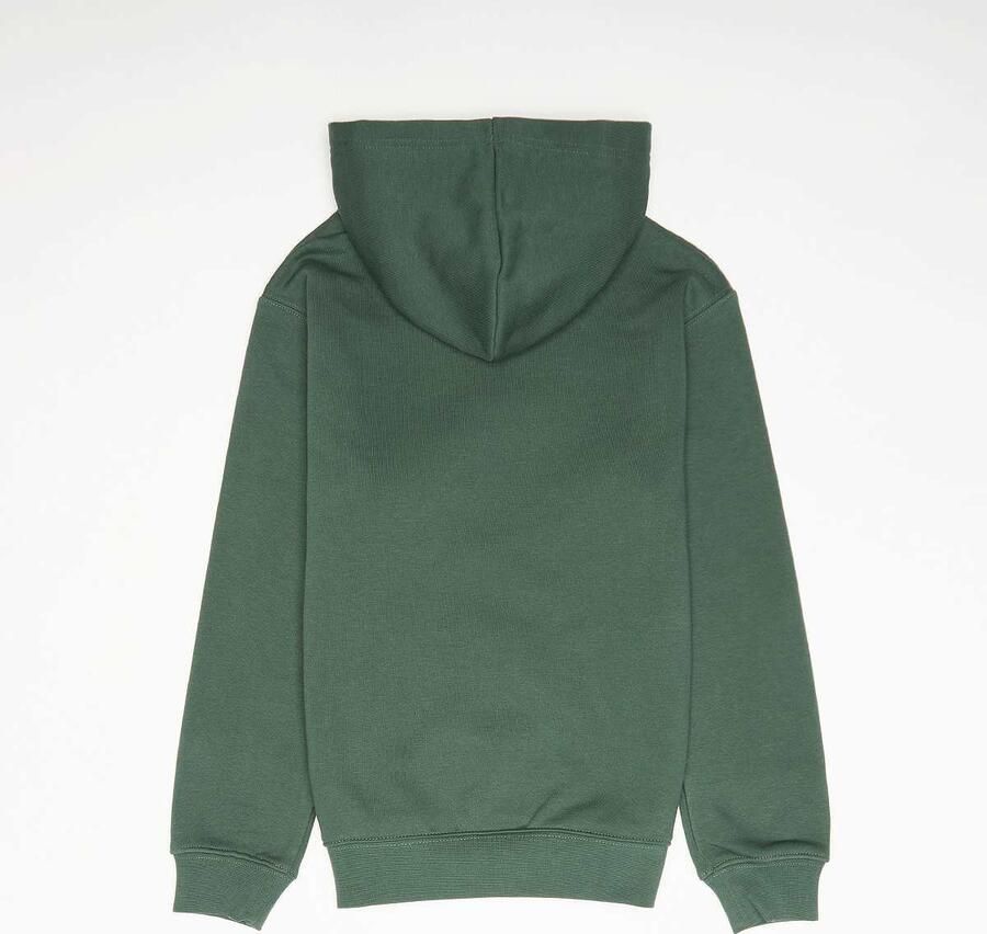 Jordan MJ Brooklyn Fleece Pullover Hoodie Unisex Hoodies & Sweaters groen Maat 128-132 Kleding - Foto 2