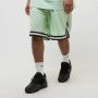 Karl Kani Small Signature Essential Mesh Shorts Sportshorts Kleding light green maat: XL beschikbare maaten:S M L XL - Thumbnail 1