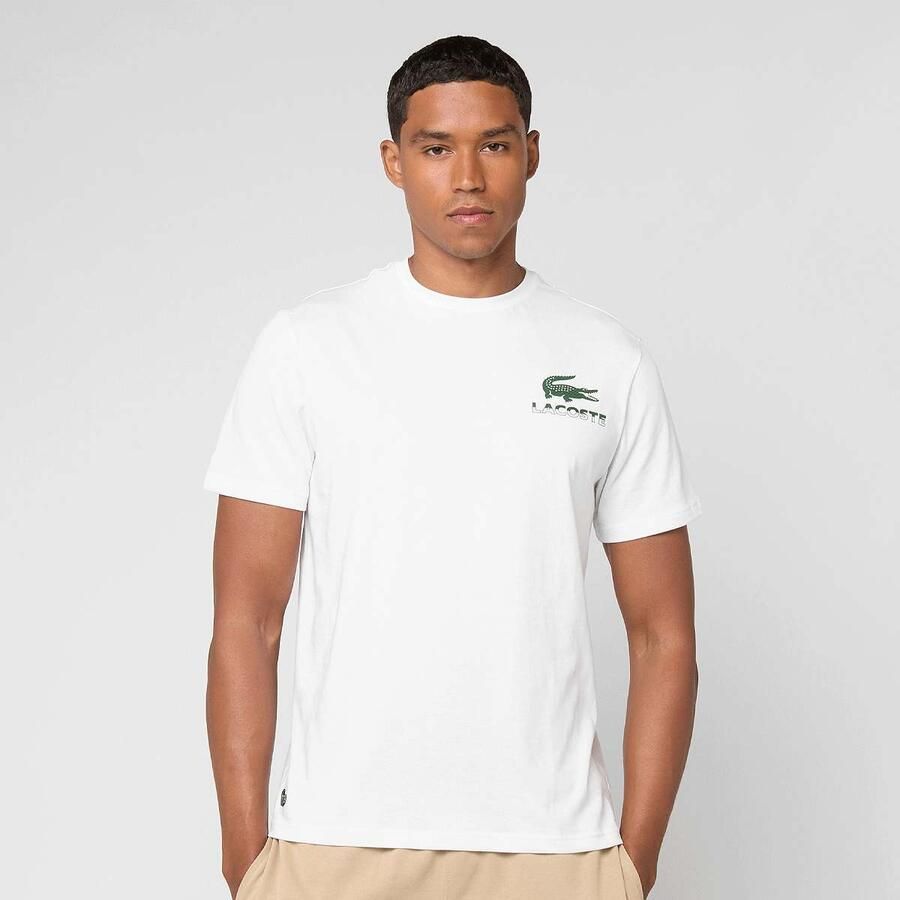 Lacoste T-shirt Men T-Shirts & Polo's wit Maat XL Kleding