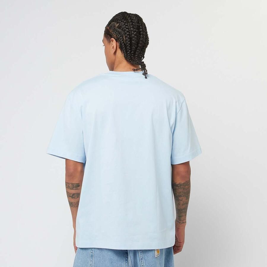 Lacoste Klassieke Katoenen Gebreide Tee Lichtroze Blue Heren