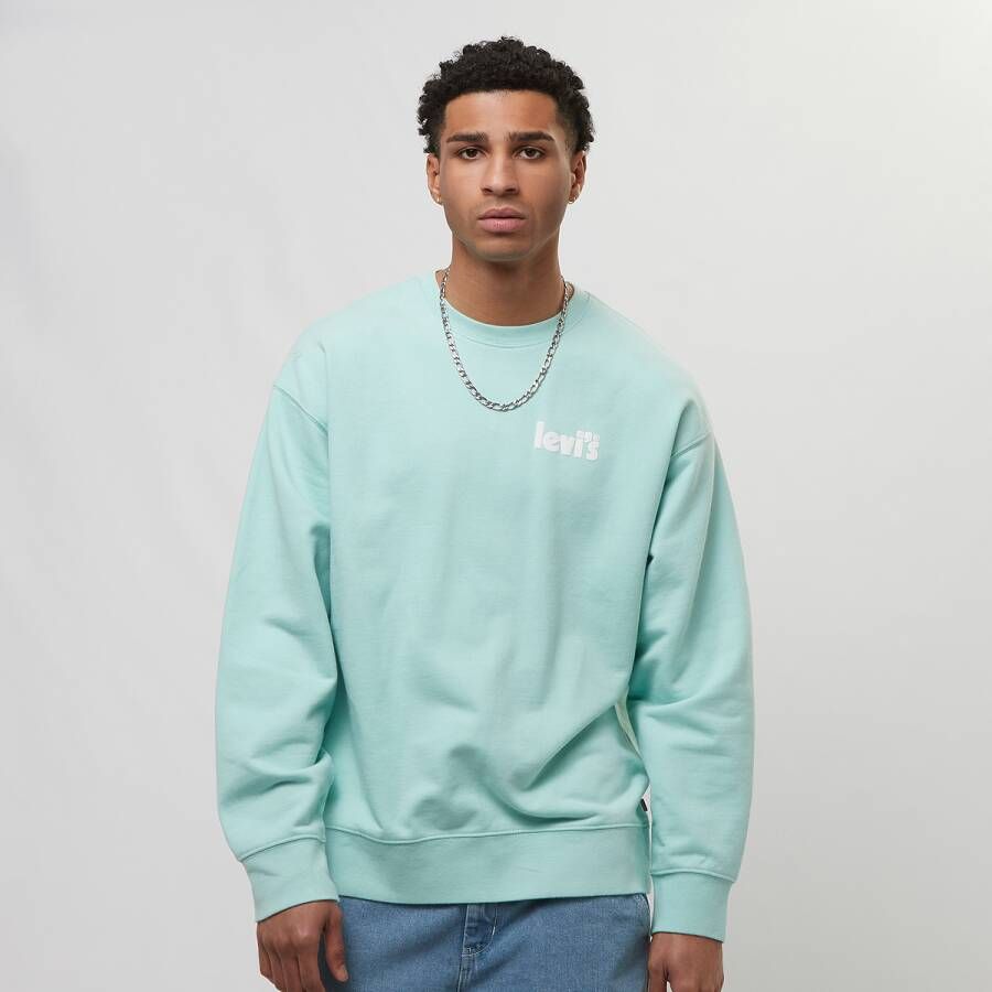 Levis Relaxed Graphic Crew