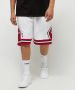 Mitchell & Ness Nba Swingman Shorts Chicago Bulls Sportshorts Kleding white maat: XL beschikbare maaten:S XL - Thumbnail 2