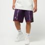 Mitchell & Ness Nba Swingman Shorts Toronto Raptors Sportshorts Kleding purple maat: S beschikbare maaten:S M L XL - Thumbnail 1