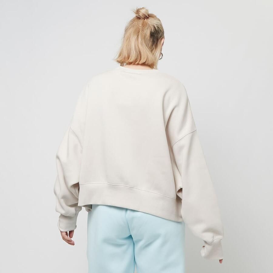 Nike Sportswear Phoenix Fleece Oversized Crew Neck Sweater Wo Hoodies & Sweaters beige Maat L Kleding