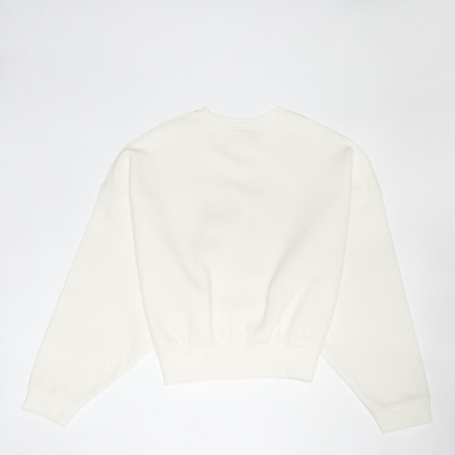 Nike Sportswear Trend Fleece Crop Crew Unisex Hoodies & Sweaters beige Kleding