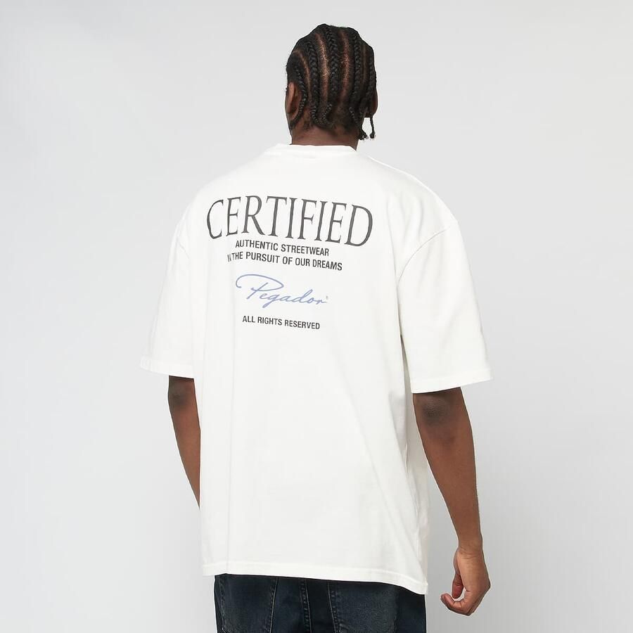 Pegador Carillo Oversized Tee men T-Shirts & Polo's wit Maat XL Kleding