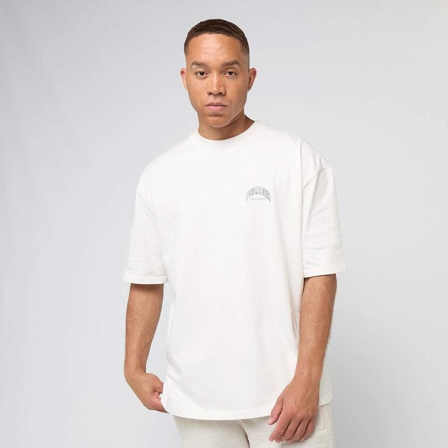 Pegador Crego Oversized Tee Men T-Shirts & Polo's beige Maat S Kleding