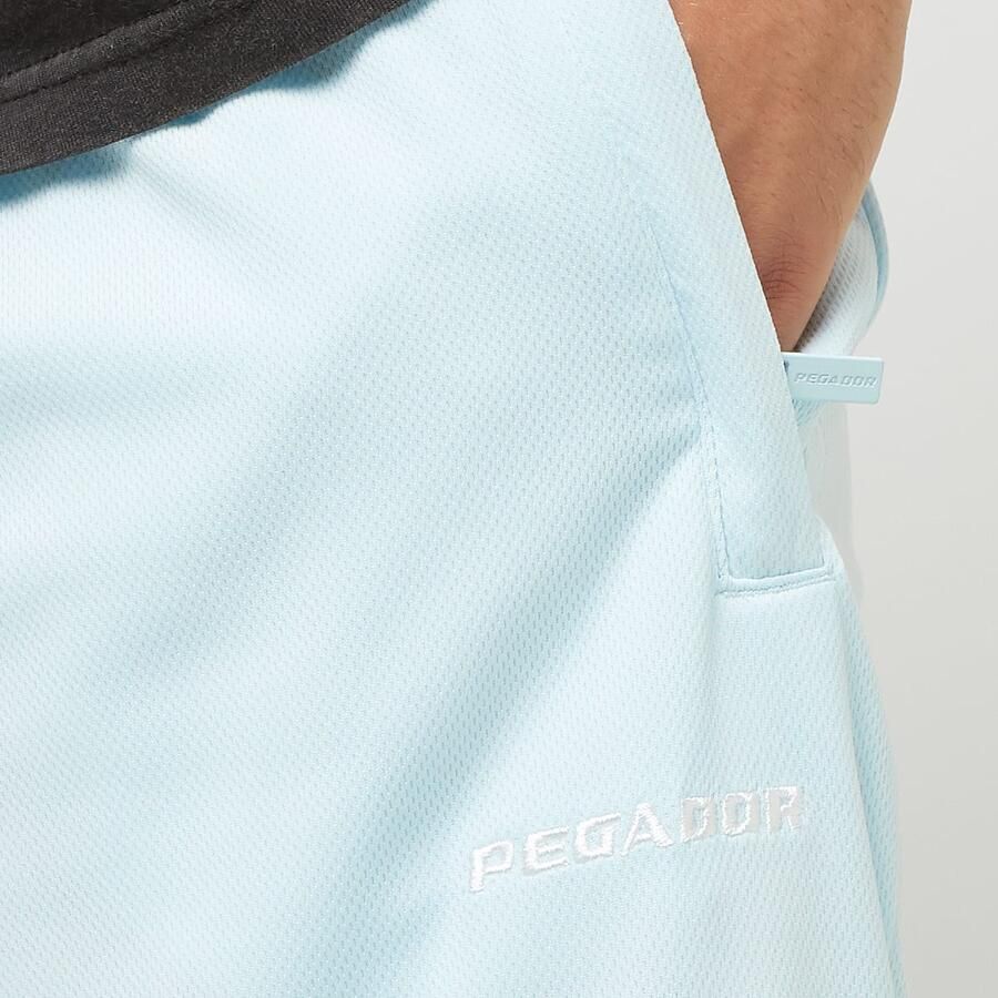 Pegador Lansing Baskteball Shorts Men Sportshorts blauw Maat S Kleding