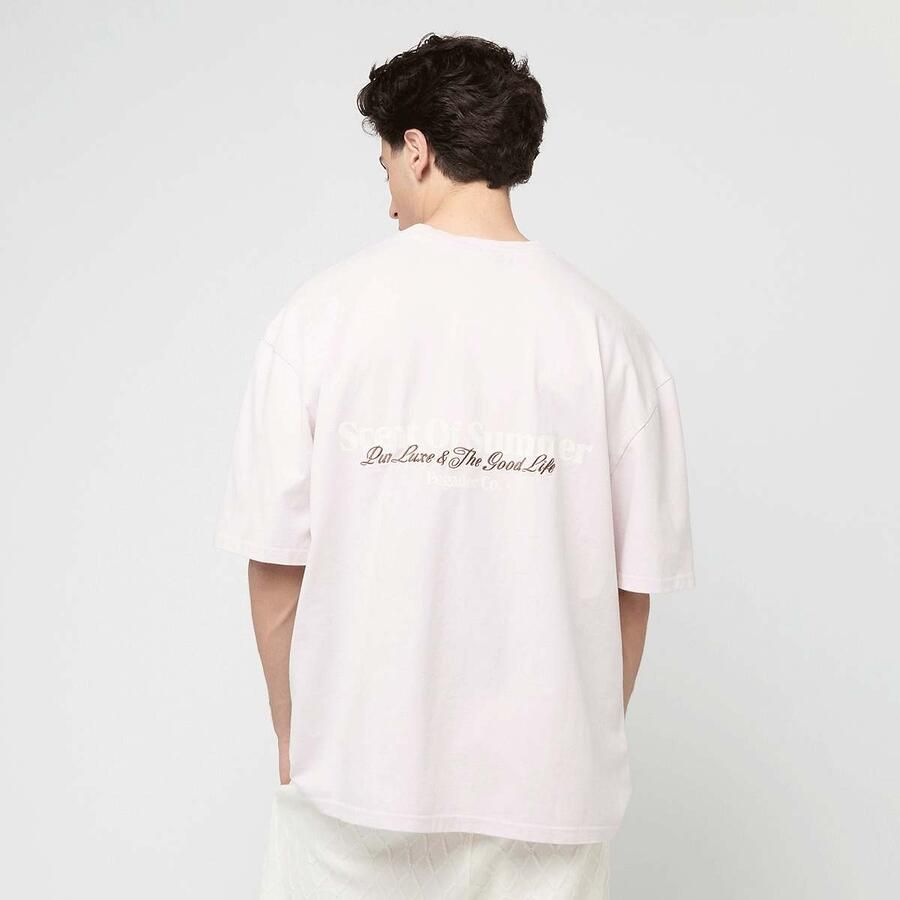 Pegador Sequia Oversized Tee Men T-Shirts & Polo's lichtroze Maat XL Kleding