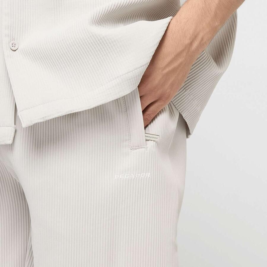 Pegador Troy Plissee Pants Men Chino's grijs Maat XL Kleding