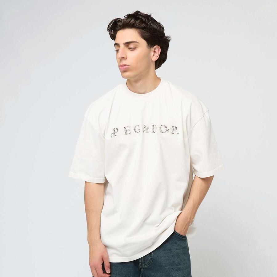 Pegador Zenor Oversized Tee Men T-Shirts & Polo's beige Maat XL Kleding