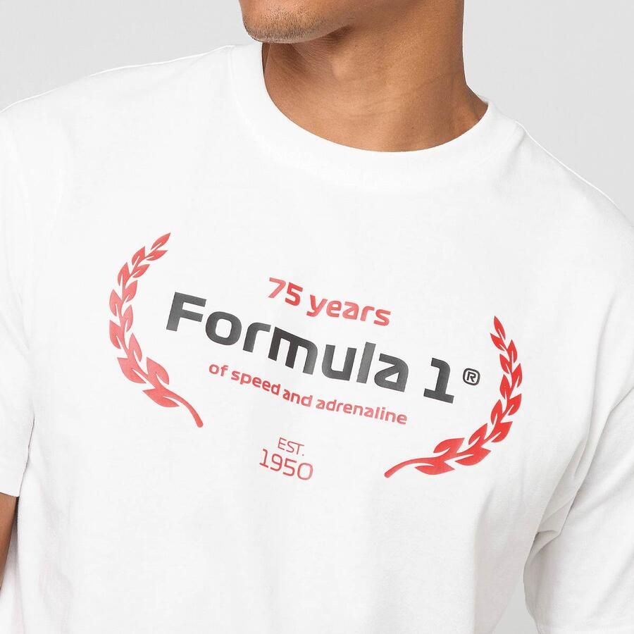 Puma F1 Essentials Graphic Tee Men T-Shirts & Polo's wit Maat XL Kleding - Foto 2